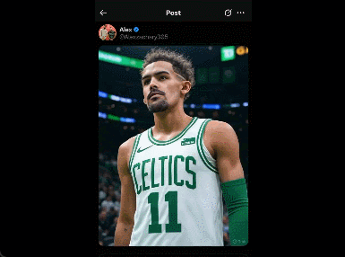 特雷杨的新 特雷杨的新