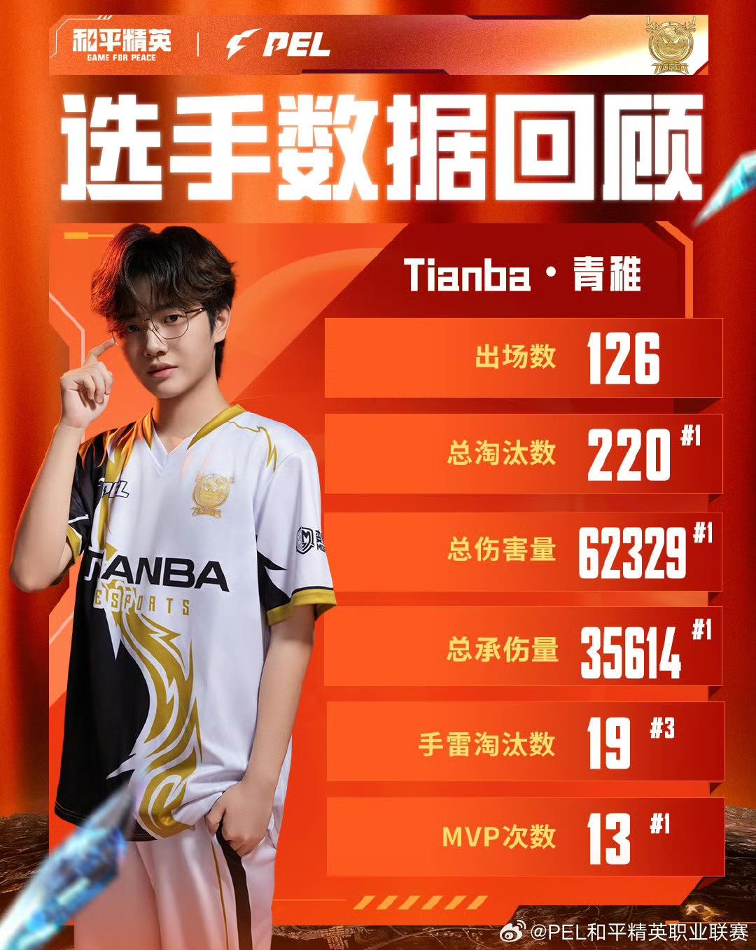 总承伤量, img, Mk