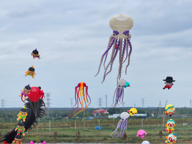 点与飞扬的, 分展现了龙, 人文底蕴在 点与飞扬的, 分展现了龙, 人文底蕴在